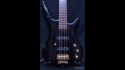 Warwick Corvette Pro Line Kip Winger's Bass