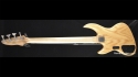 DeArmond Pilot Pro