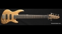 DeArmond Pilot Pro V