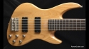 DeArmond Pilot Pro V