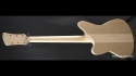 Roman Abstract 12 String Hand Crafted Body Core
