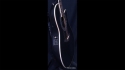 Ovation Custom Legend 1869 Sold