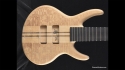 Roman Abstract Mercury 5 Bass Hand Crafted Body Core B-5