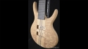 Roman Abstract Mercury 5 Bass Hand Crafted Body Core B-5