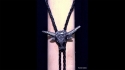 Gretsch Steer Skull Bolo Neck/Texas Tie