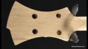 Roman Abstract Claw Bass Hand Crafted Body Core B-14