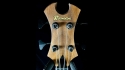 Abstract Claw Bass 06036