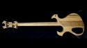 Abstract Claw Bass 06036