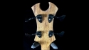 Abstract Claw Bass 06036