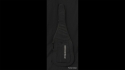 Steinberger Padded Headless Gigbag Fits, XM, XQ