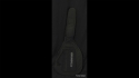 Steinberger Headless Gigbag Bass Sold