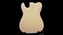 TC-10 T Style Economy Guitar Kit by Saga Body only