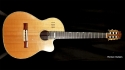 Kirk Sand Custom Classical Chet Guitar Sold