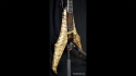 MRC Custom