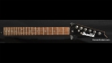 Ibanez Neck GiO