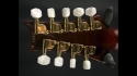 PRS 12 String Conversion to 9 String Sold