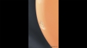 Pearlcaster 369 Creamsicle