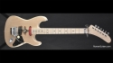 Roman J. Frog Frankenstrat Kit USA Made High Quality