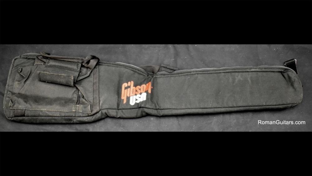 Gibson - Ned Steinberger Padded 20/20 & Headless Gigbag Sold