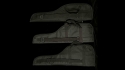 Traveler Guitars Gigbag