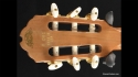 Gibson Chet Atkins CE Custom Shop Sold