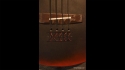 Big Johnson Acoustic 5 String Custom Bass 20