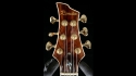 Quicksilver Custom LH Cocobolo