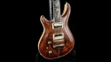 Quicksilver Custom LH Cocobolo
