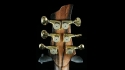Quicksilver Custom LH Cocobolo