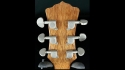 Luna Fauna Butterfly Acoustic Electric Sold
