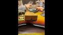 Fender 1959 Jazzmaster Sunburst Vintage