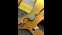 Fender 1959 Jazzmaster Sunburst Vintage