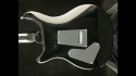 PRS SE Custom 24 Sold