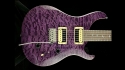 PRS SE Custom 24 Sold