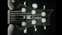 PRS SE Custom 24 Sold