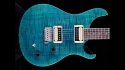 PRS SE Custom 22 Sold
