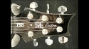 PRS SE Custom 22 Sold