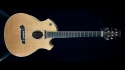Parker Fly P8EN Sold