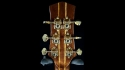 Parker Fly P8EN Sold