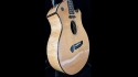Parker Fly P8EN Sold