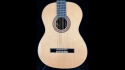 Guild GC-2NAT