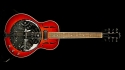 Jay Turser JT-900 Resonator