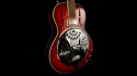 Jay Turser JT-900 Resonator