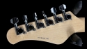 Fretlight FG-621