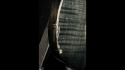ESP LTD Viper-100FM