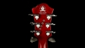 BC Rich Bich Perfect 10 Sold