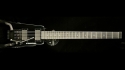Steinberger GL2S Serial Number N000358
