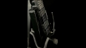 Steinberger GL2S Serial Number N000358