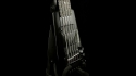 Steinberger XL2 5 Wide T9586