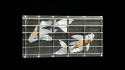Quicksilver Custom Build for Client